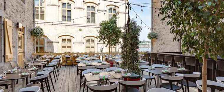 The most beautiful terraces under the magnifying glass