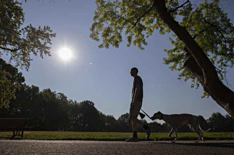 The oppressive heat should be considered a “natural disaster”