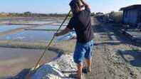 The salt farmer, the new salt worker of La Tremblade