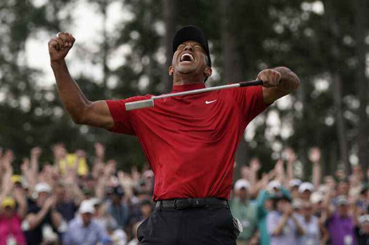 Tiger Woods |  Some highs and lows of a unique career