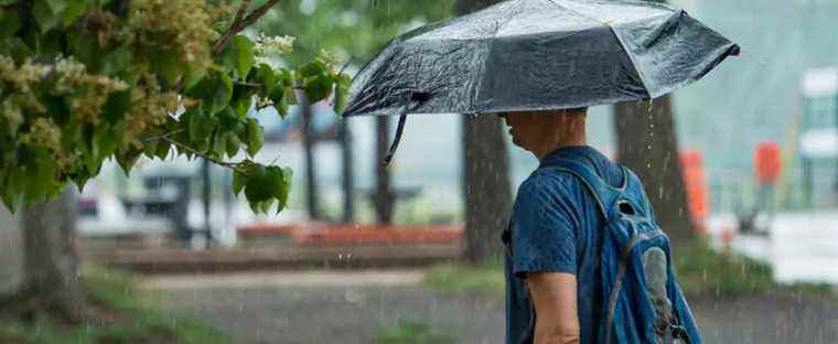 Today’s weather: rainy weather in southern and central Quebec on Thursday