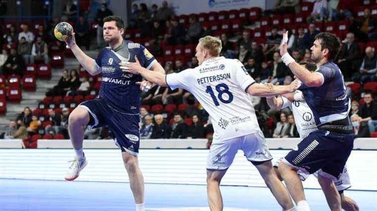 Toulouse Fenix ​​eliminated in the round of 16 of the European Cup