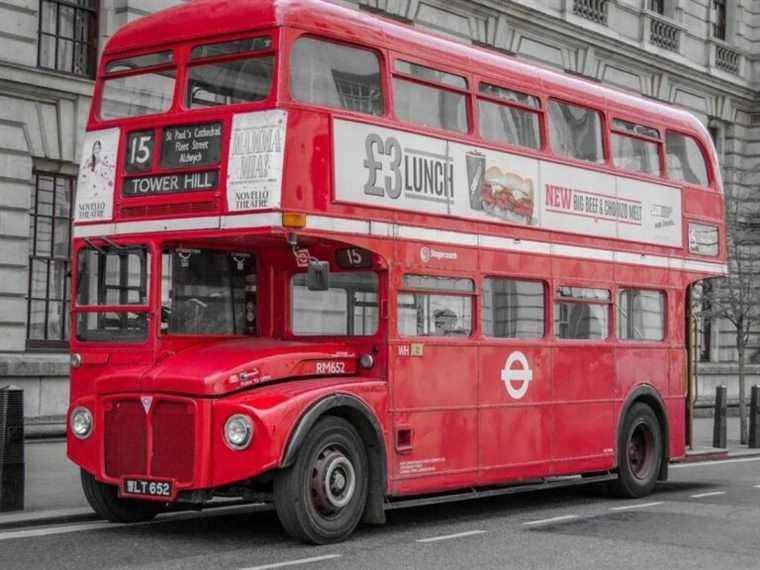 Transforming an English bus into a tiny house, the completely crazy idea of ​​a French family