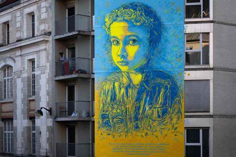 Ukraine |  Street artist C215 paints ‘smiles and humanity’