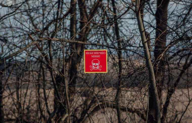 Ukraine: decades of demining in perspective