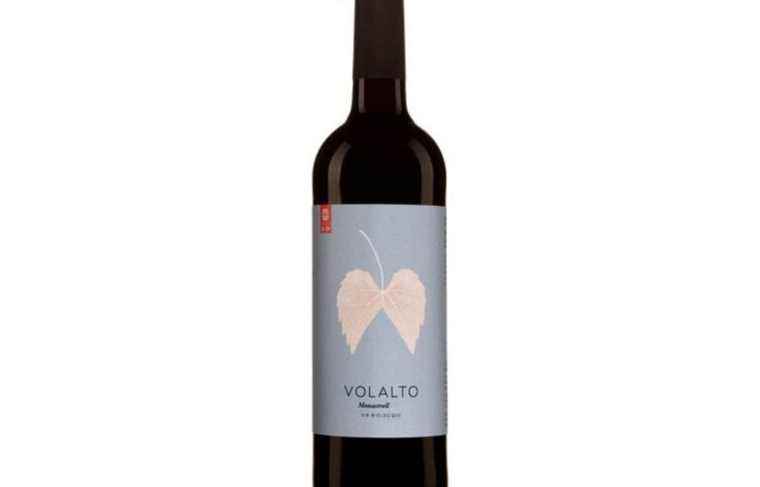 Volalto 2020, Jumilla, Spain |  The duty