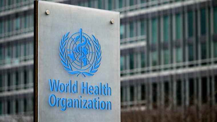 WHO investigates hepatitis of unknown origin identified in British children