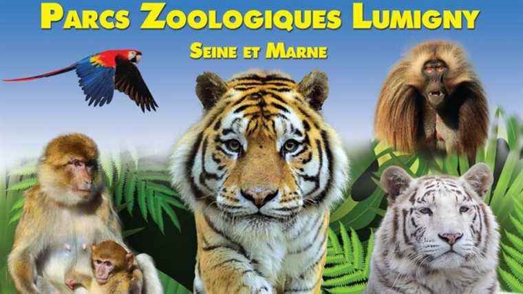 Win your VIP day at the Zoological Parks of Lumigny