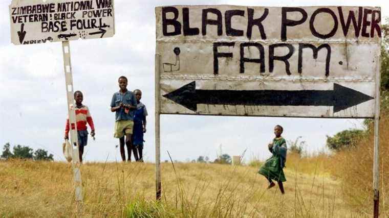 Zimbabwe redistributes land abandoned by black farmers