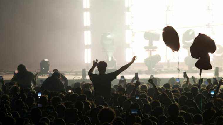 four complaints filed by festival-goers reporting “stings”