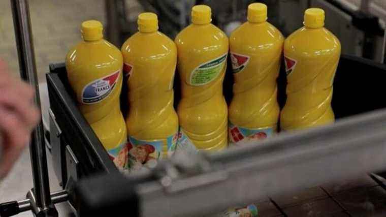 government responses to the sunflower oil shortage