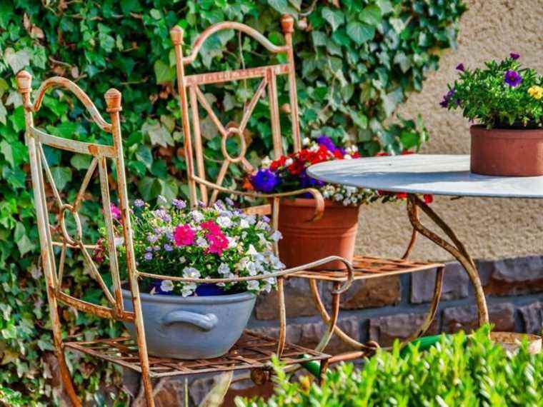 here’s how to get a chic and modern garden with less than 50 €