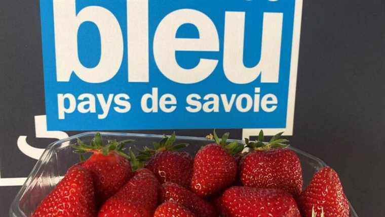 how to taste them with Florence early fruits and vegetables in Chambéry St Jean de Chevelu