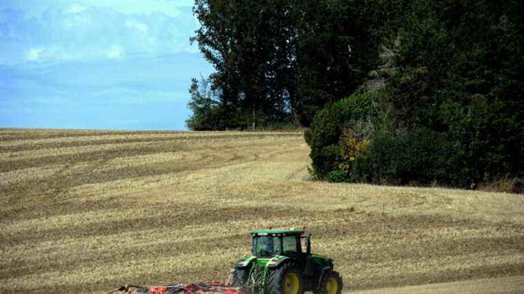 is France sufficiently “independent in terms of food” to avoid shortages, as the government assures?