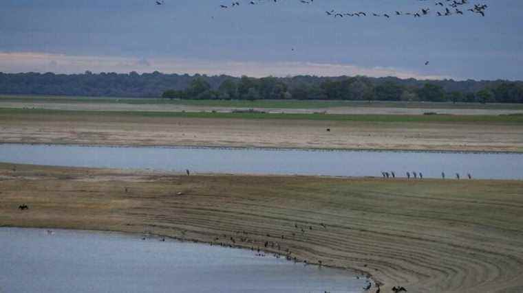 new cases of avian flu at Lac du Der, precautionary measures maintained