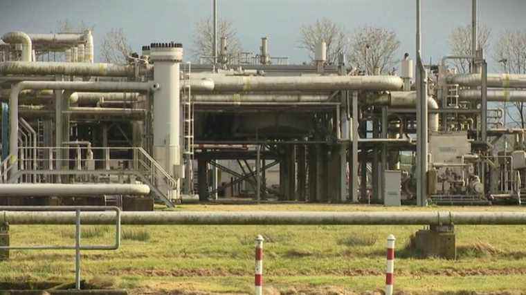 the Netherlands could revive its gas activity