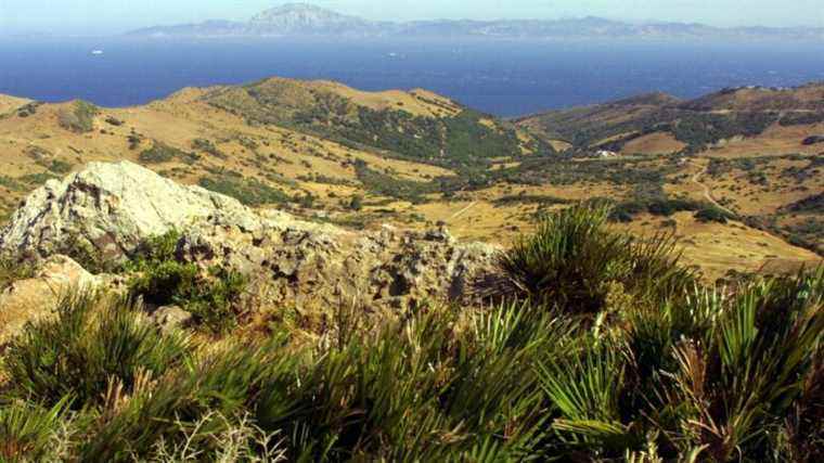 the incredible idea of ​​​​a dam on the Strait of Gibraltar resurfaces