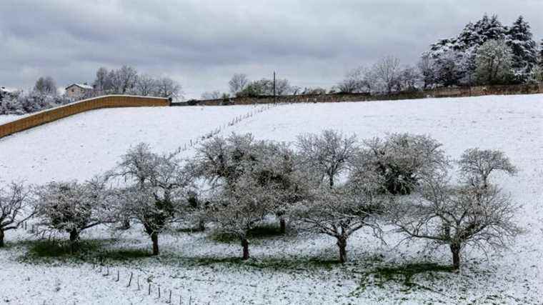 twenty departments placed in orange vigilance for risks of snow and ice