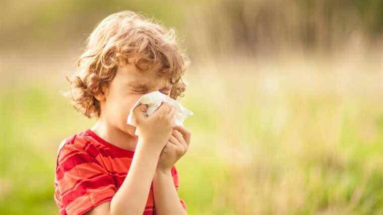 watch out for pollen with the return of spring in Alsace