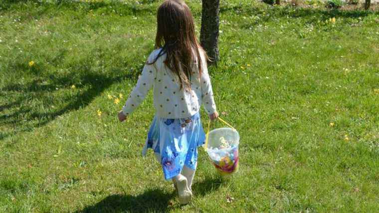 where to hunt eggs in Mayenne?