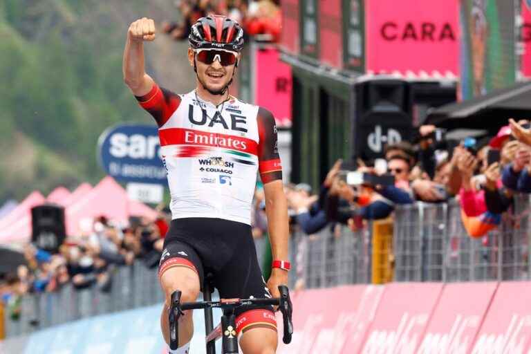 20th stage of the Giro |  Alessandro Covi wins, Jai Hindley in pink before the final time trial