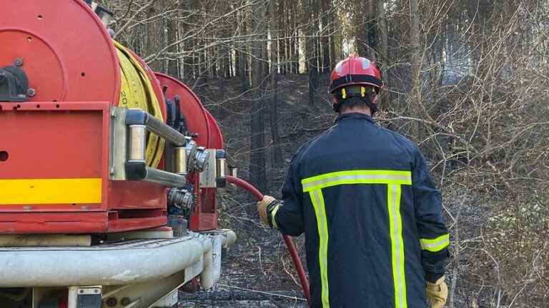 25 hectares destroyed after the controlled fire in Laurac-en-Vivarais