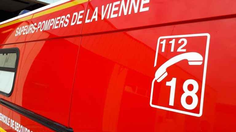 A 4-year-old child dies in a car accident in Lussac-les-Châteaux, a child and two adults injured