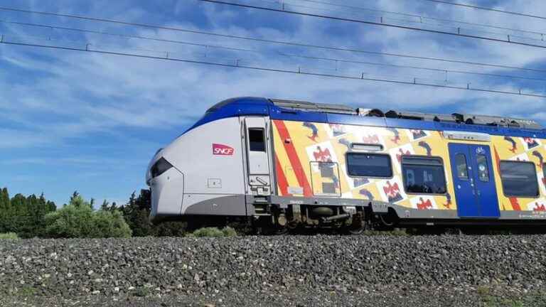 A TER strike disrupts traffic this Sunday on departure and arrival in Provence