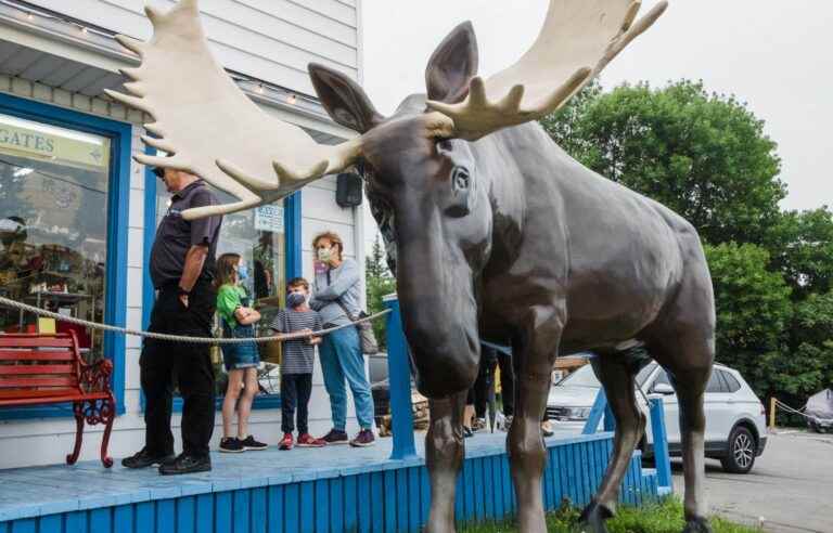 A new tourist fee already disputed in Percé