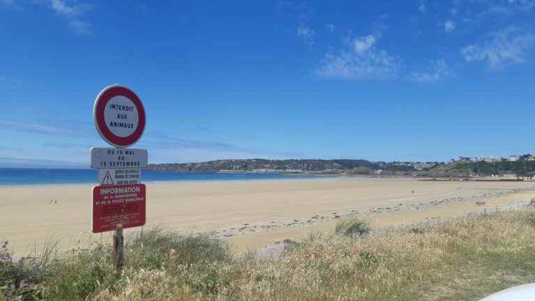 A septuagenarian dies drowned on the site of the wind farm in Erquy in the Côtes d’Armor