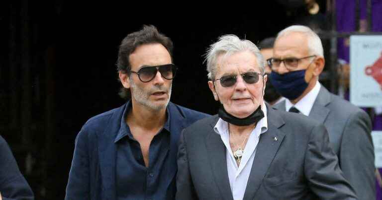 Alain Delon not tender with his son Anthony: he accuses him of behaving like a “kid” …