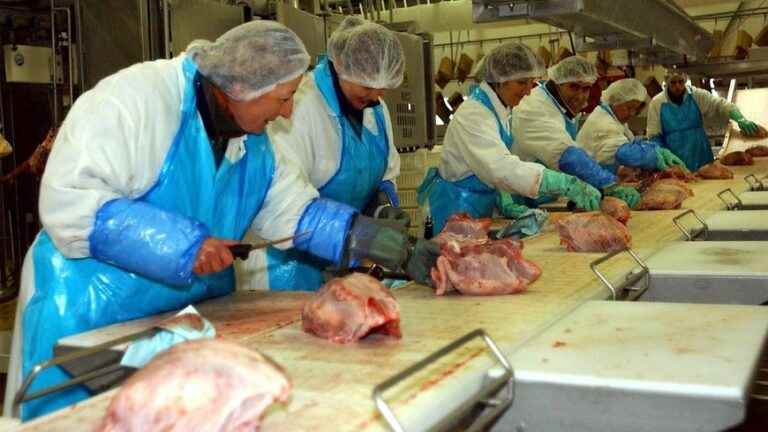 At the Blancafort slaughterhouse, an employee cuts his veins in the offices