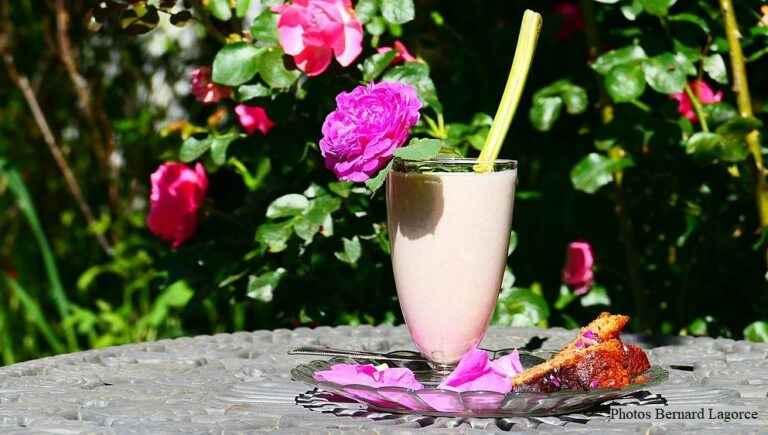 BANANA/ROSES MOUSSE for David – chef of the Auberge Le Saint Georges in Pradines