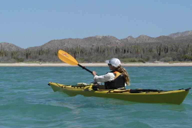 Baja California |  Kayaking in the land of the desert and the sea