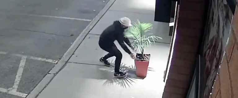 Beware, thieves have their eye on your… plants