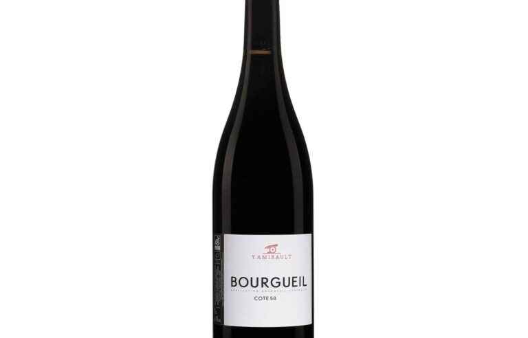 Bourgueil “Cote 50” 2020, Yannick Amirault, Loire Valley, France