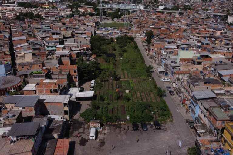 Brazil |  In Rio, giant vegetable gardens to produce organic produce in the heart of the city