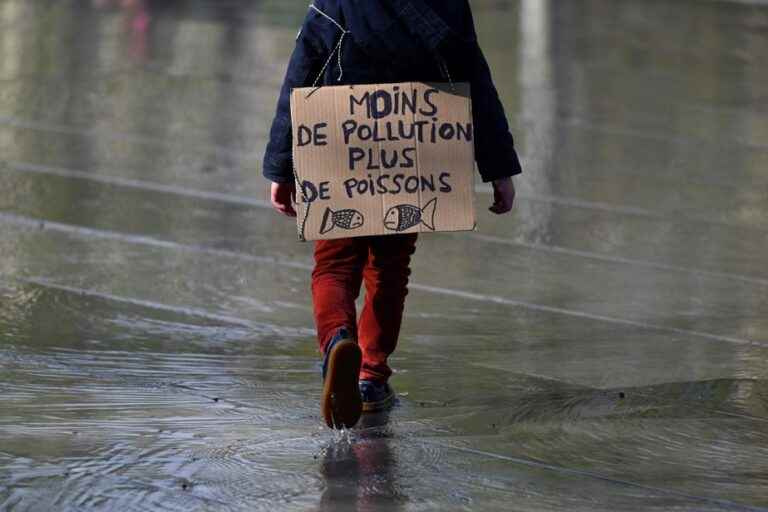 Bread and Forests March |  An invitation to walk for the rest of the world