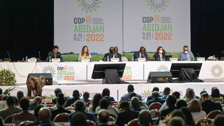 COP15 commits to restoring one billion hectares of degraded land by 2030