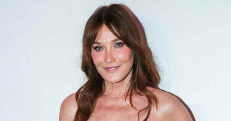 Carla Bruni-Sarkozy: This project which has nothing to do with the music in which she is involved!