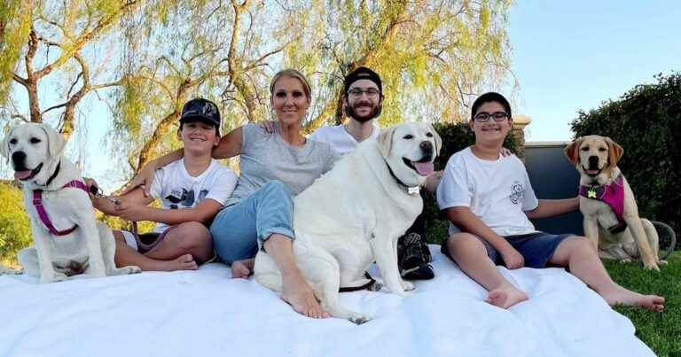 Celine Dion looks tired: photo with her twins Nelson and Eddy who have changed a lot!