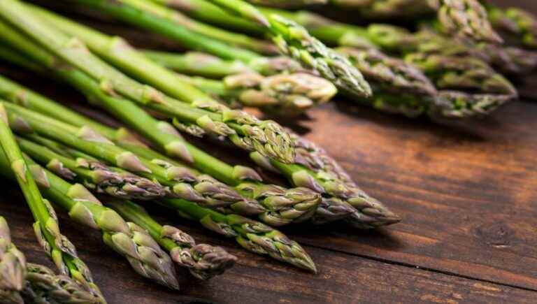 Cooking wild asparagus with chef Dominique Bargibaux, La Grange restaurant in Bélis