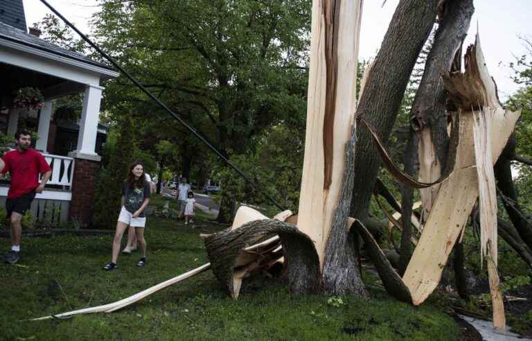 Damage and power outages in the aftermath of violent storms in Quebec