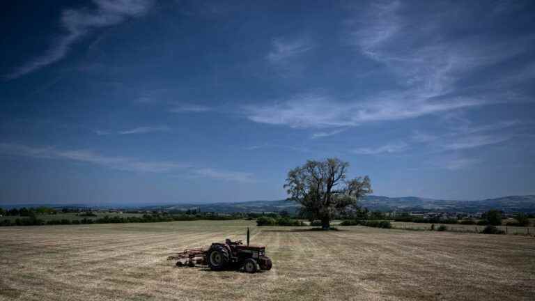 Drought, erosion, artificialization… Are we doing enough to protect the soil?