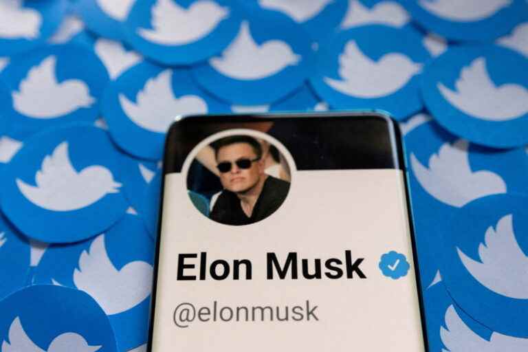 Elon Musk halts Twitter takeover, stock plummets