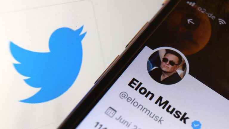 Elon Musk wants to lift Donald Trump’s Twitter ban