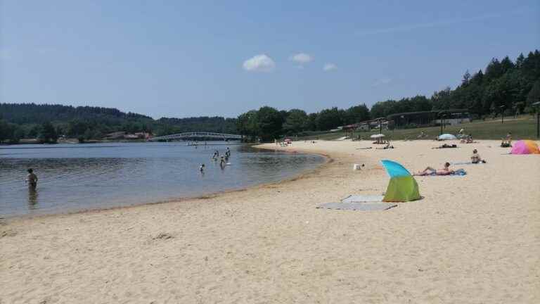 Facing the hot weather, the Limousins ​​cool off at Lake Saint-Pardoux