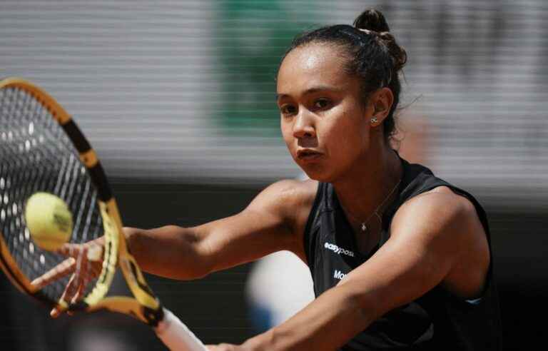 Fernandez loses in the quarter-finals at the French Open