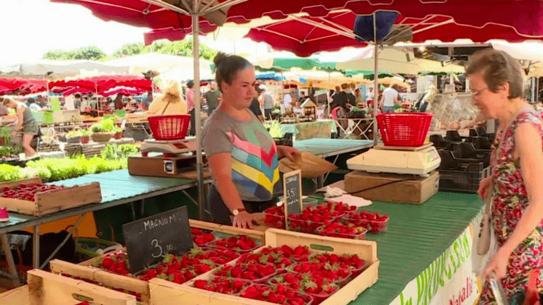 Food: strawberries in abundance this year