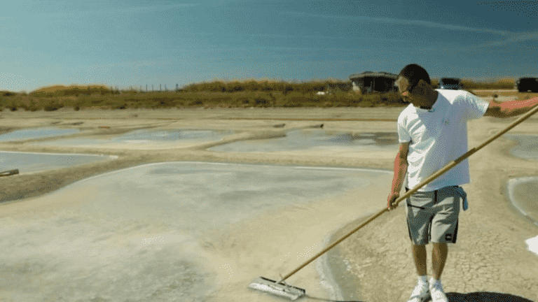 Food: time for the salt harvest in Noirmoutier